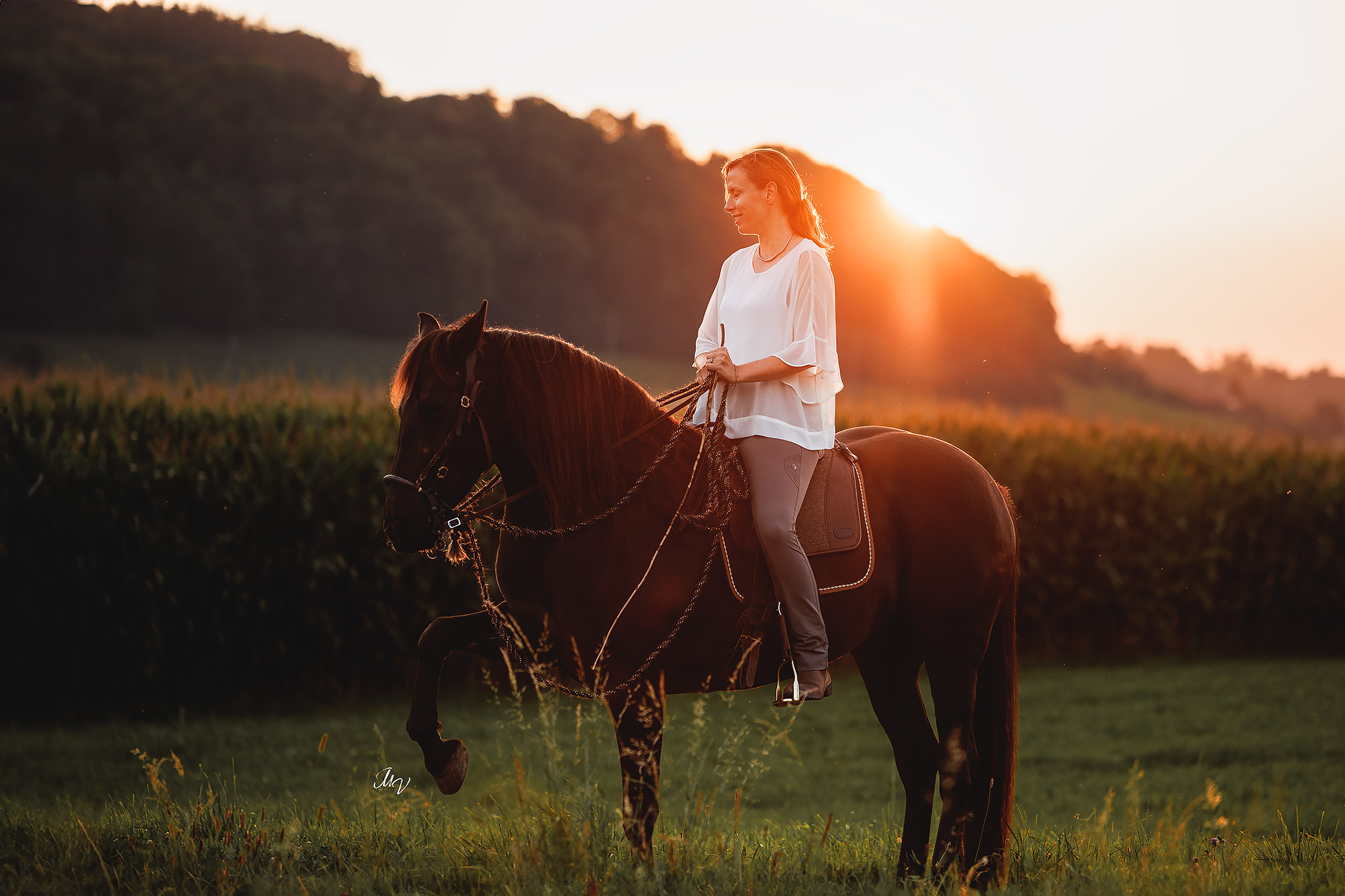 Mobiler Reitunterricht im Raum Bern mit Freizeitpferd